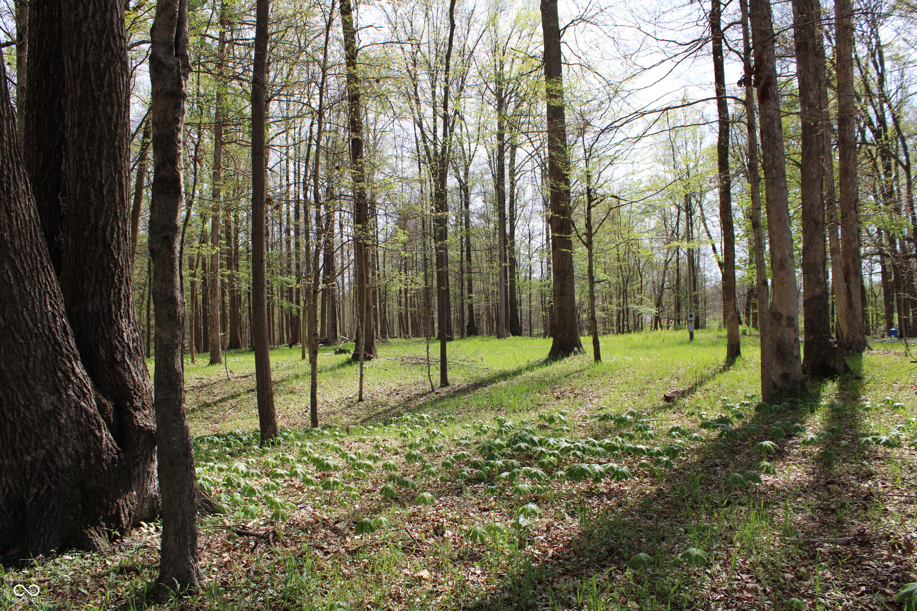 Tract E N County Road 225 W