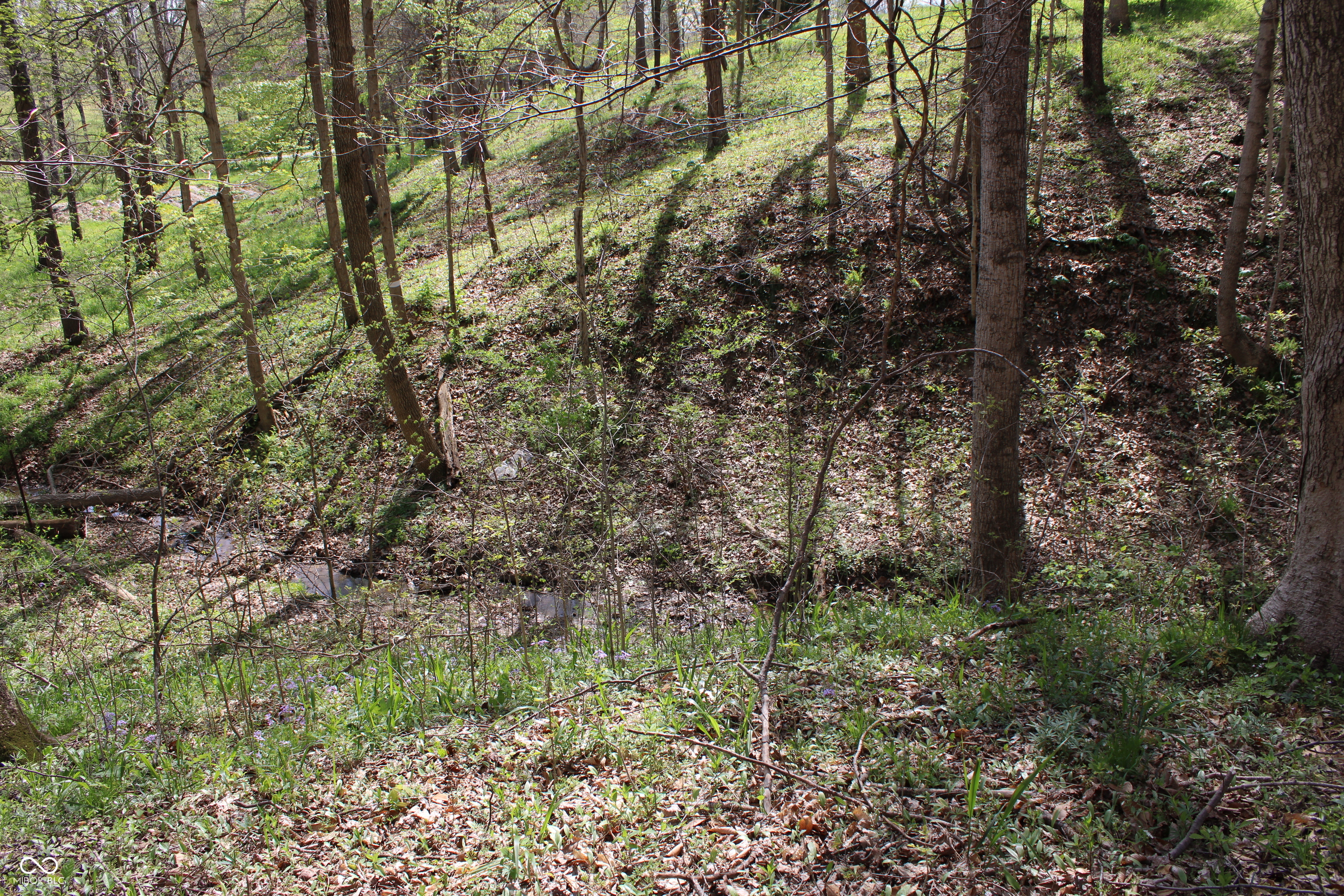 Tract E N County Road 225 W