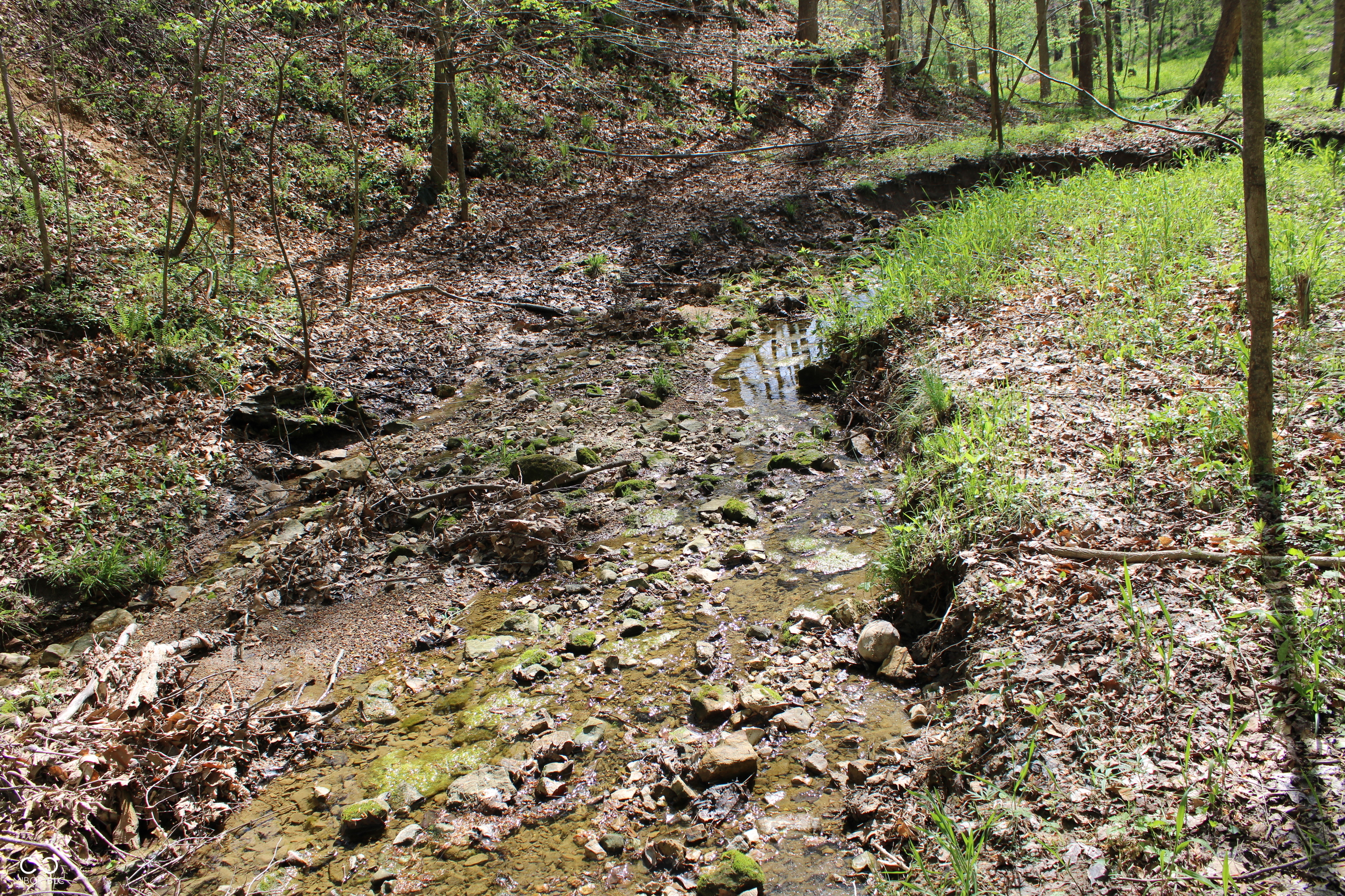 Tract E N County Road 225 W