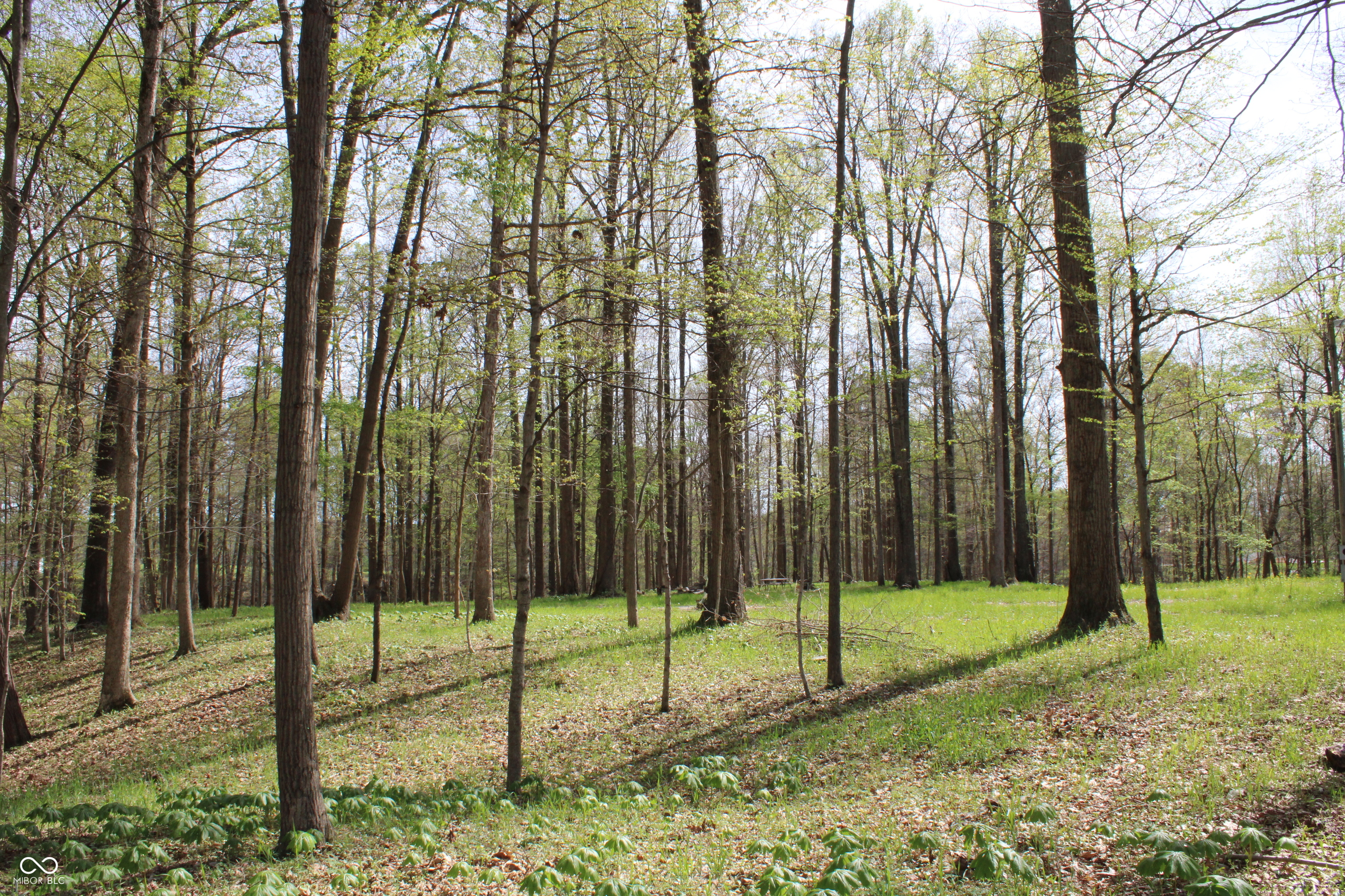 Tract E N County Road 225 W