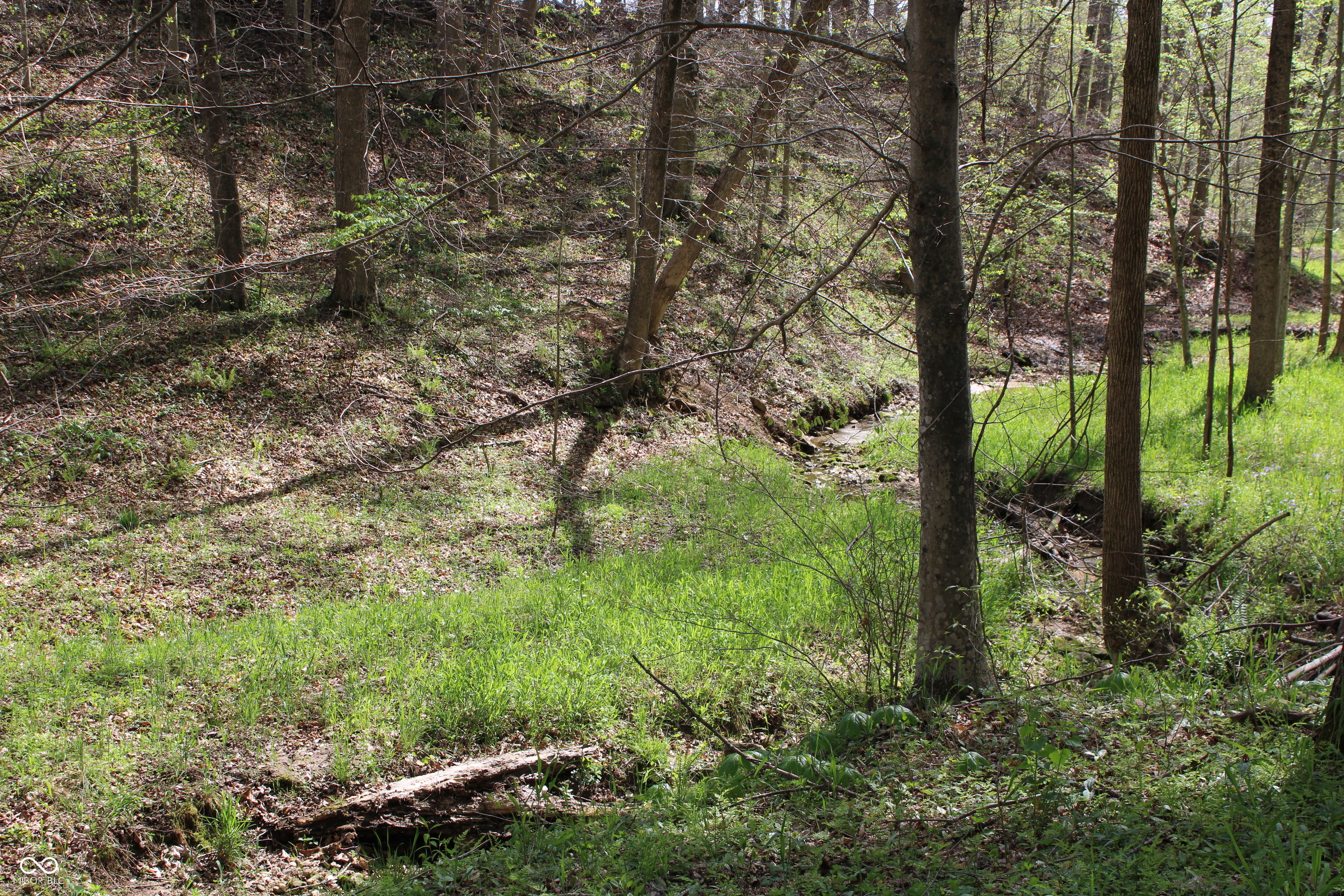 Tract E N County Road 225 W