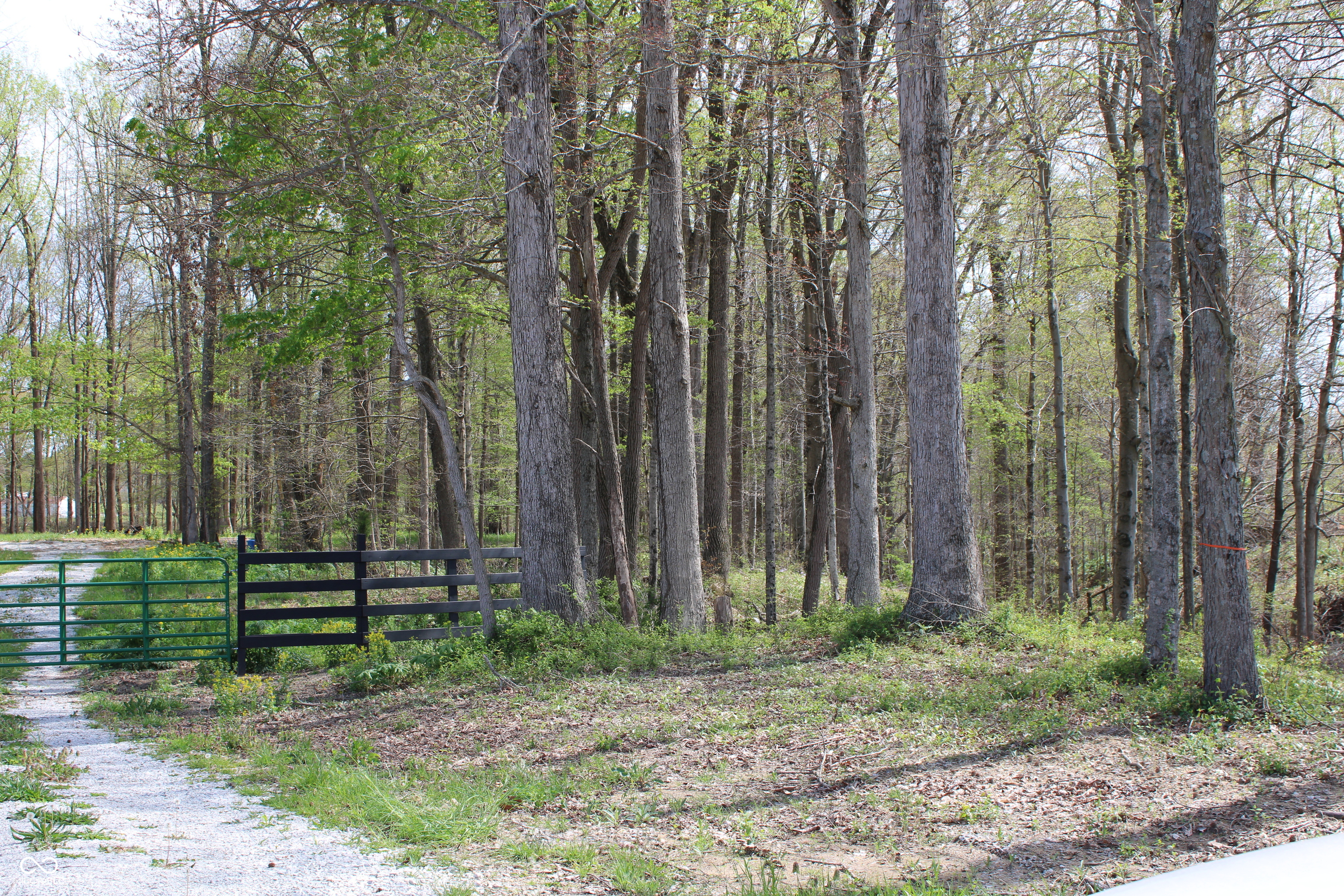 Tract E N County Road 225 W