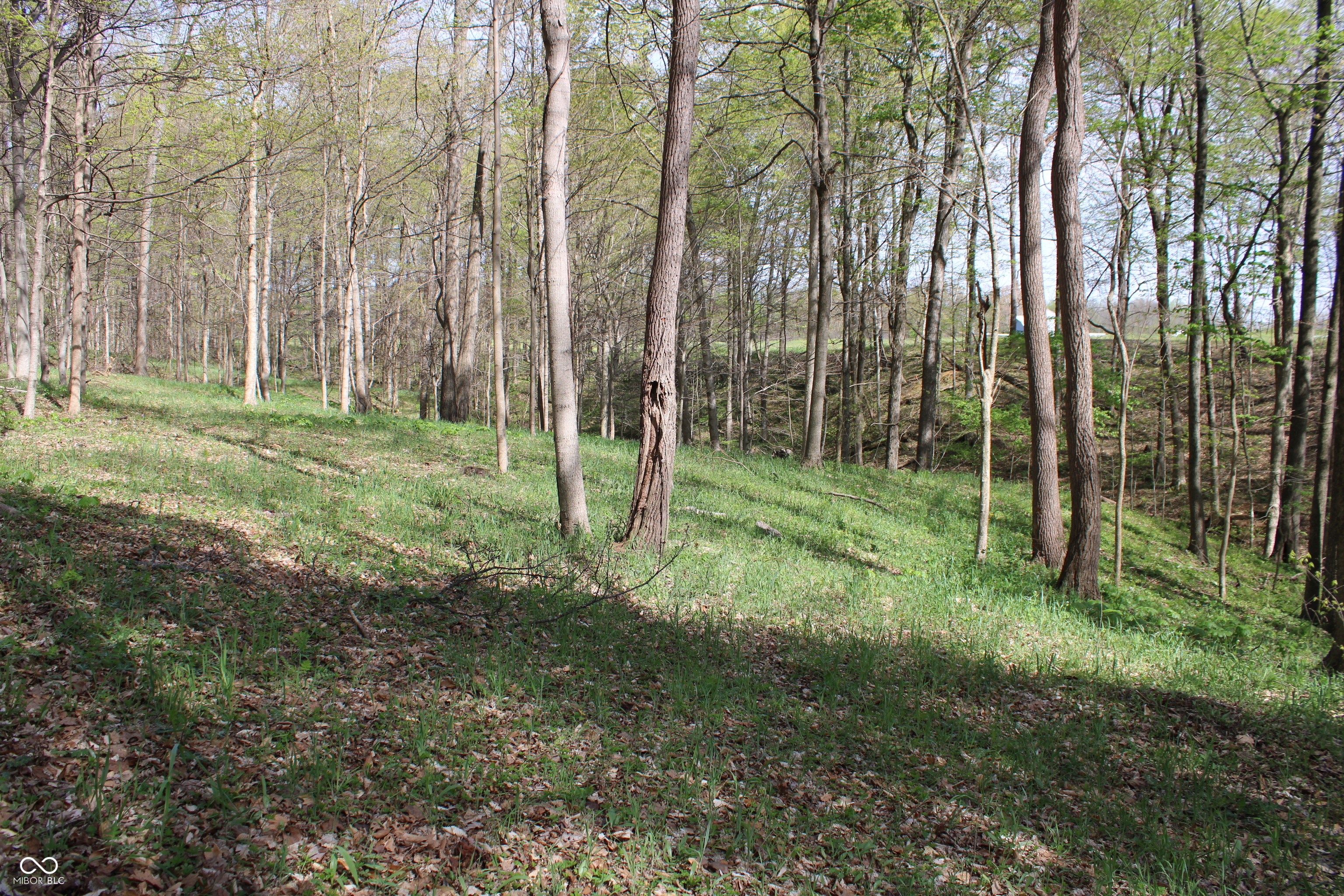 Tract E N County Road 225 W