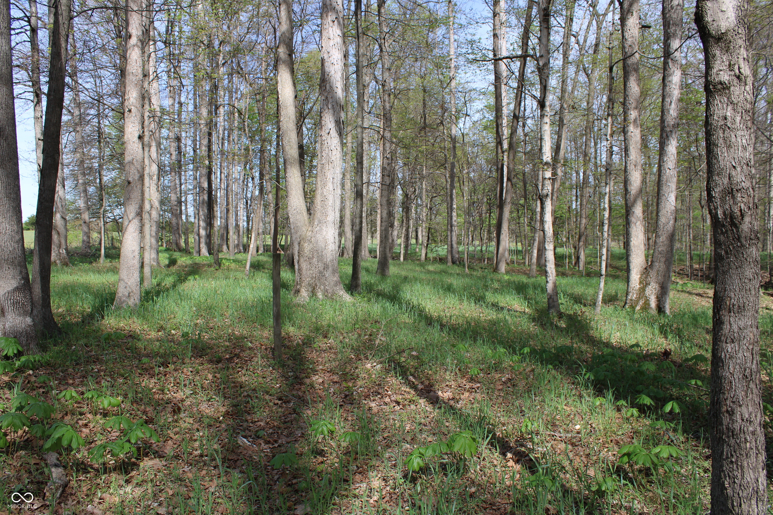 Tract E N County Road 225 W