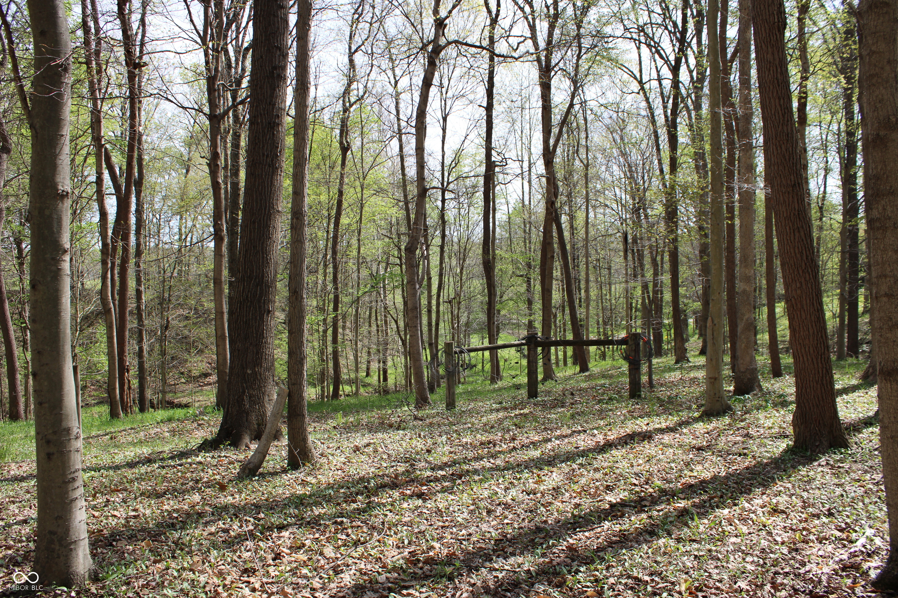 Tract E N County Road 225 W