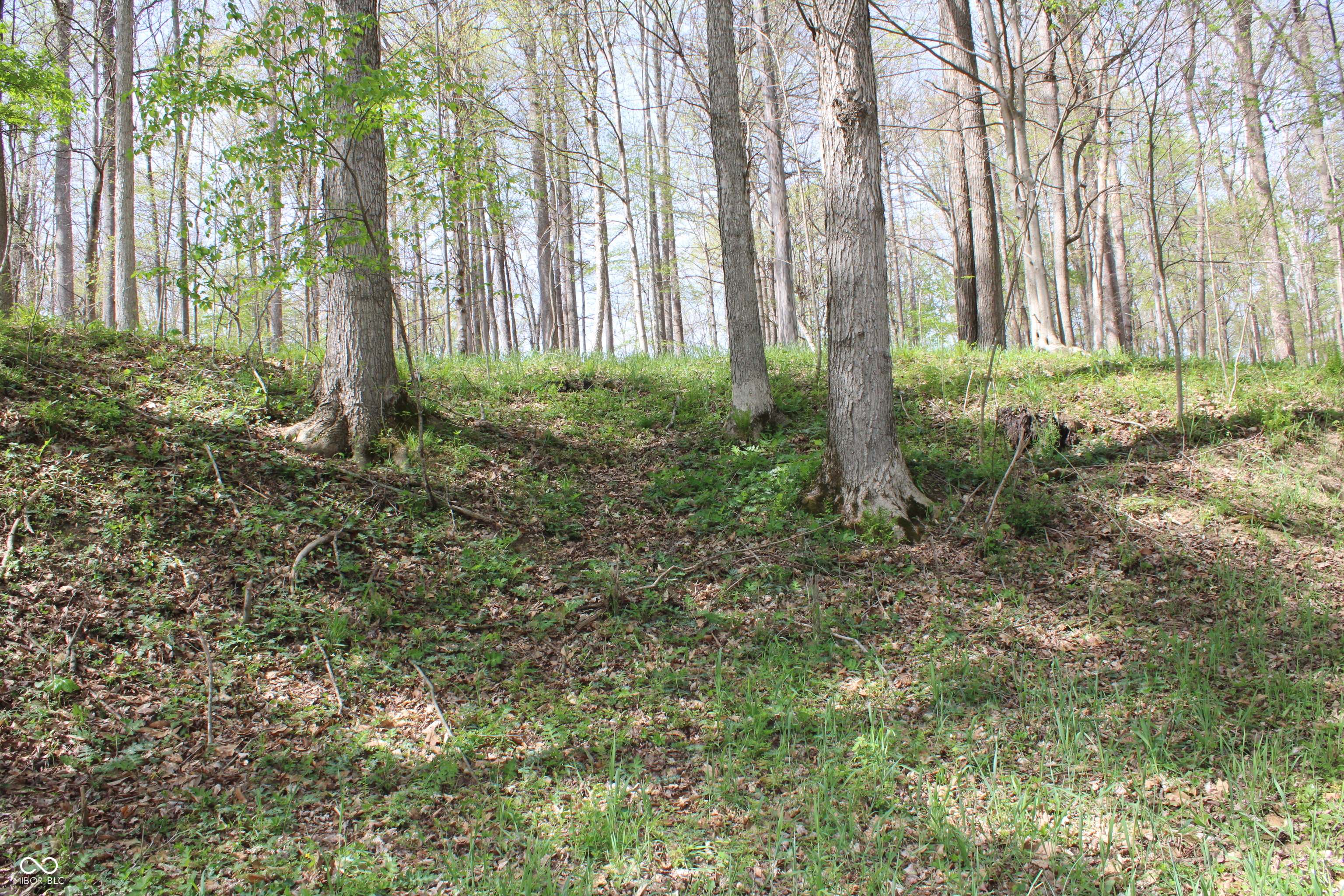 Tract E N County Road 225 W