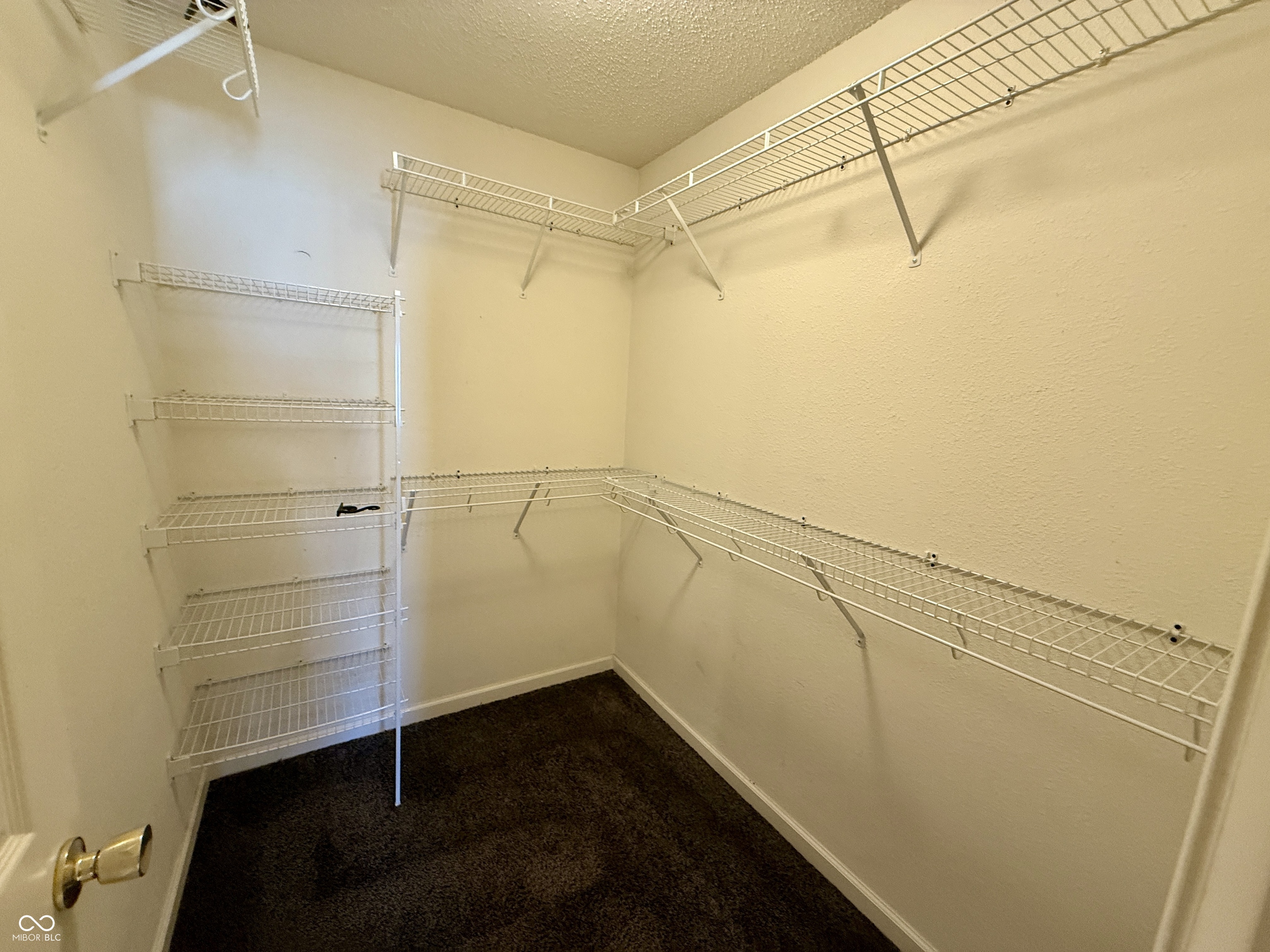 2509 Orchard Creek Drive