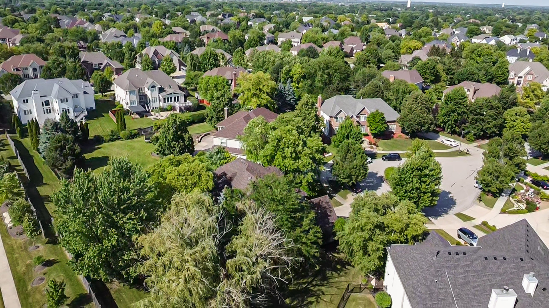 3919 Callander Court