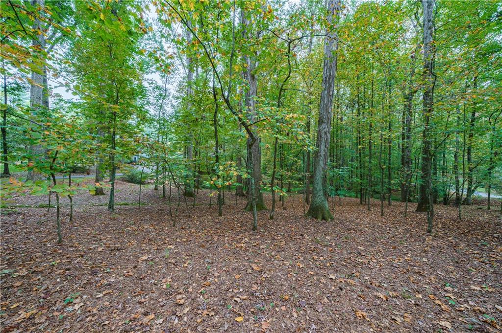 201 Still Branch Drive