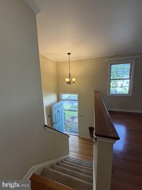 917 CHOWNING DRIVE