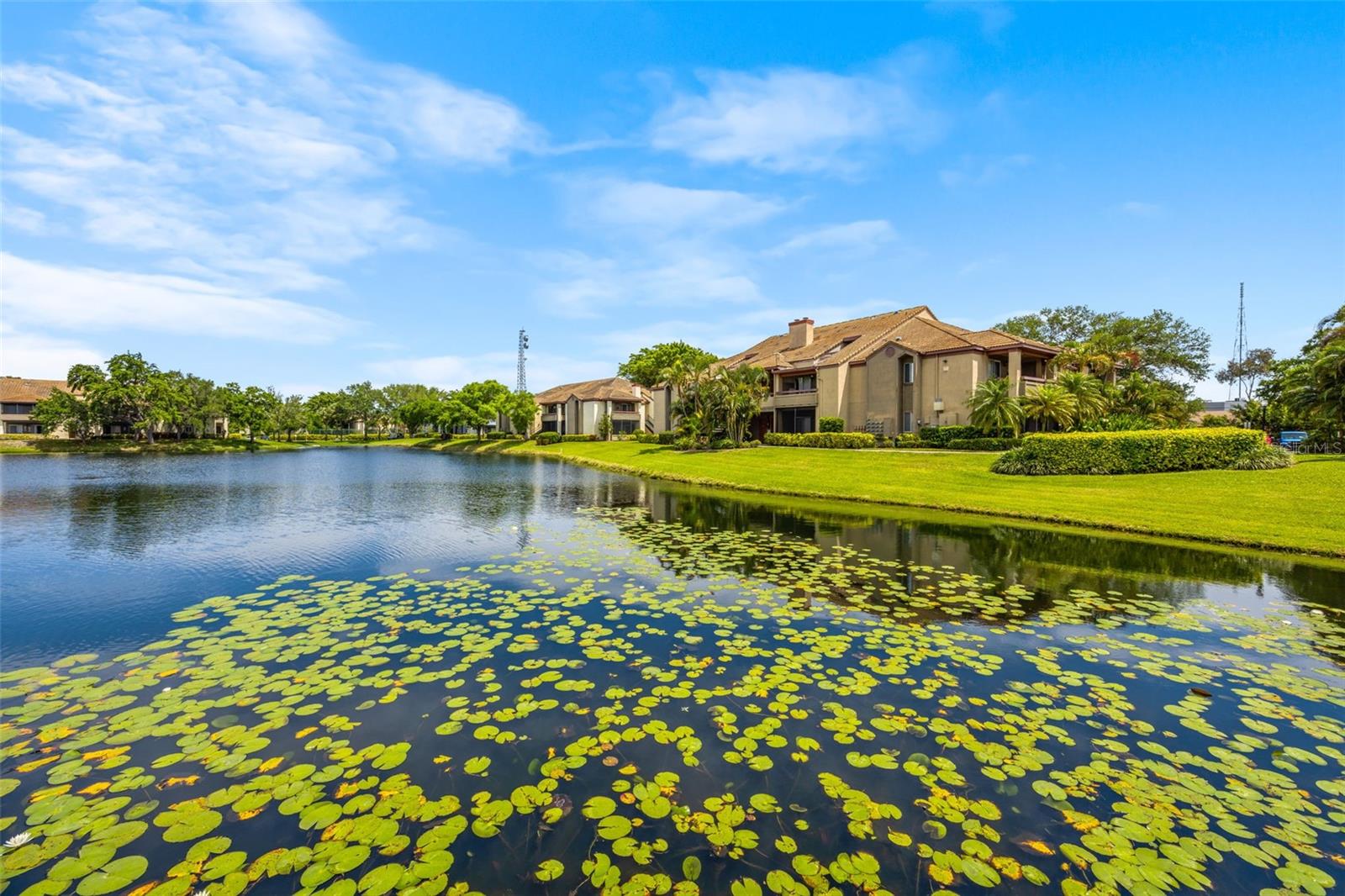 10265 GANDY BLVD N #1415