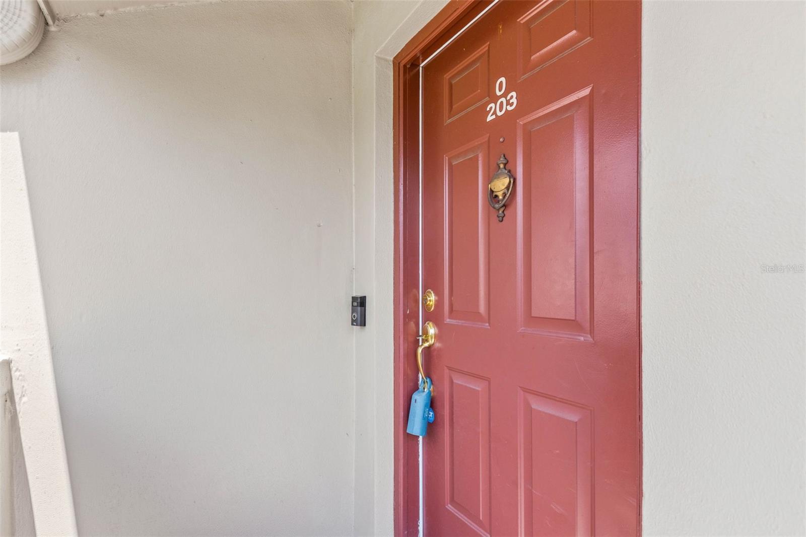 2453 EGRET BLVD #O203