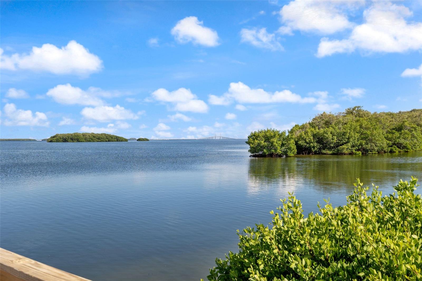 1515 PINELLAS BAYWAY S #E-50