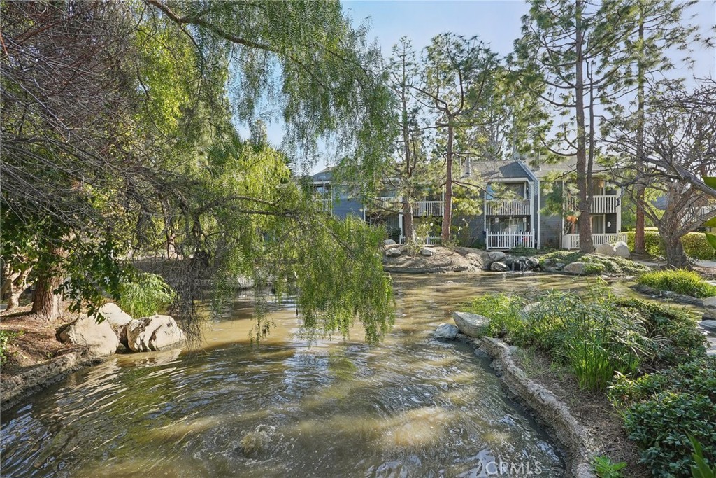 25461 Pine Creek Lane