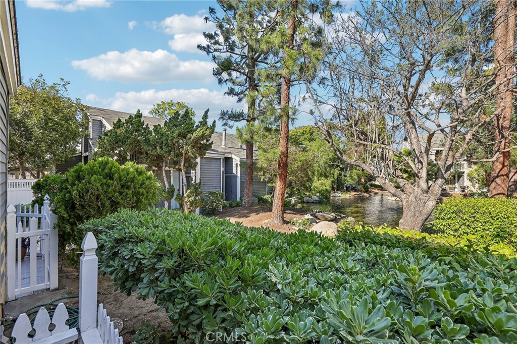 25447 Pine Creek Lane