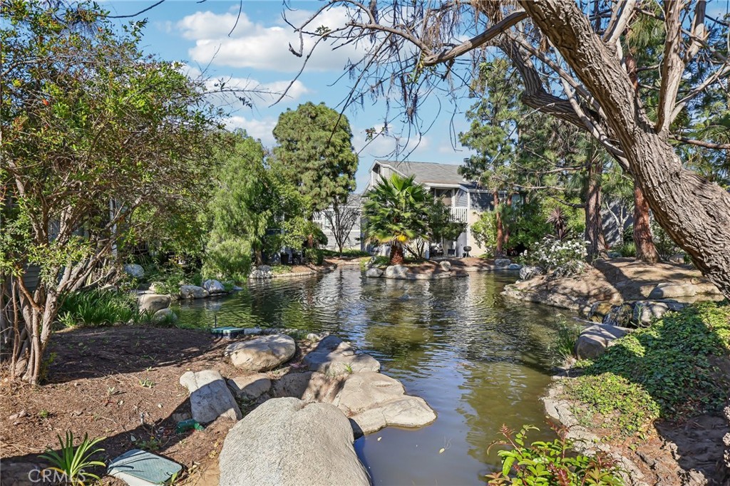 25447 Pine Creek Lane