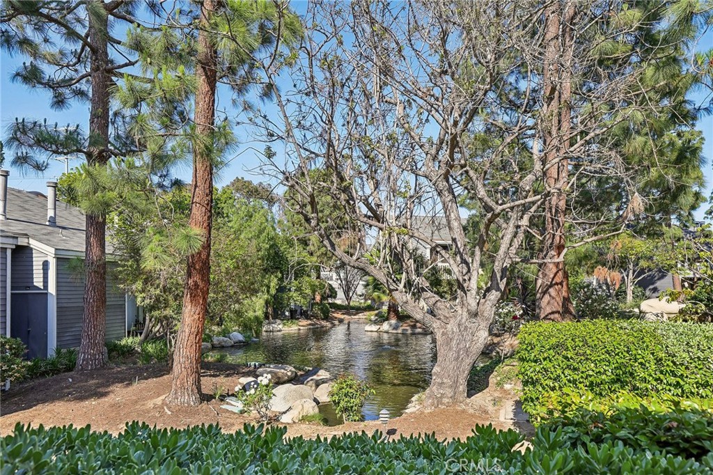 25447 Pine Creek Lane