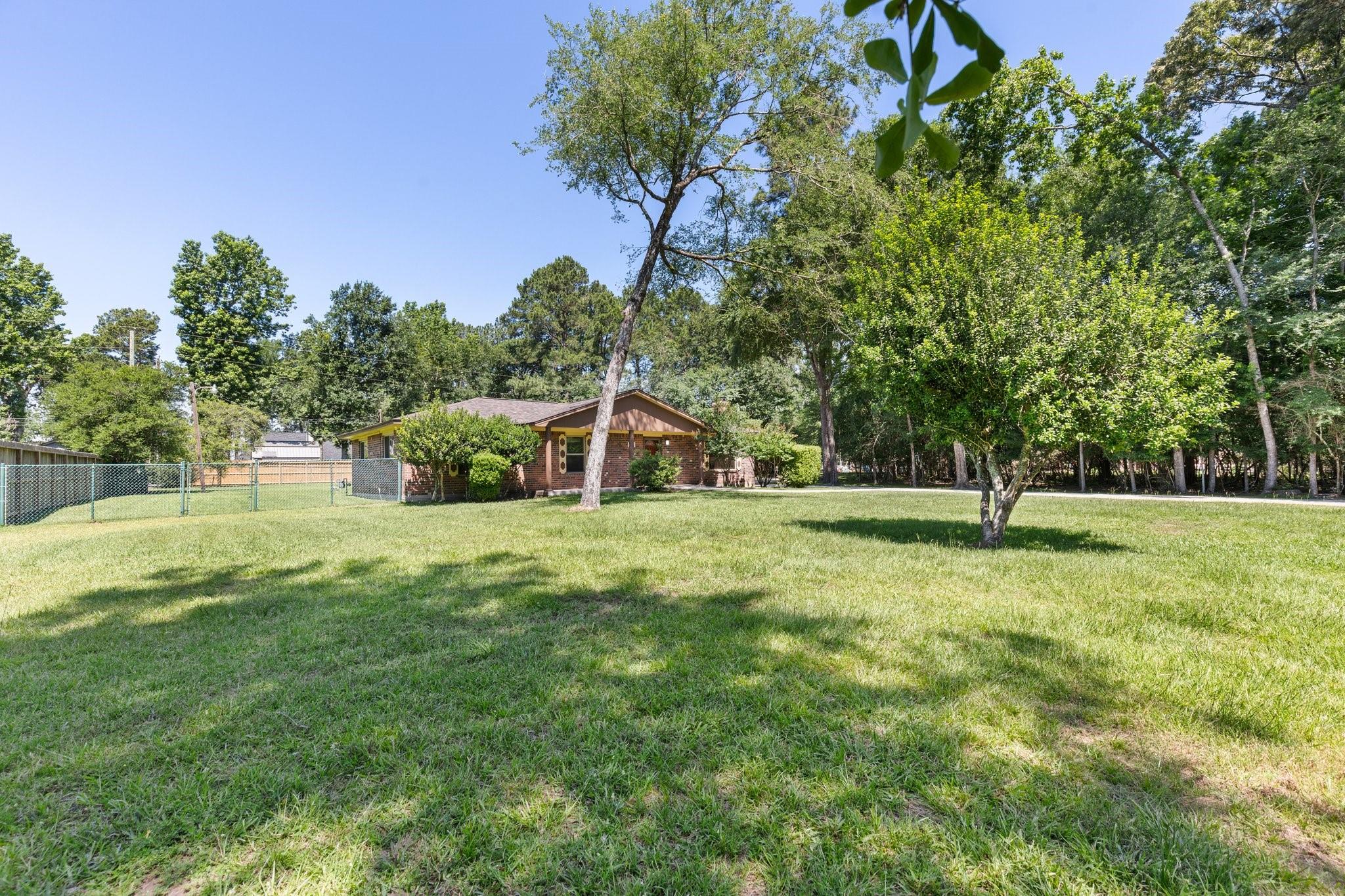 711 Weeping Willow Way