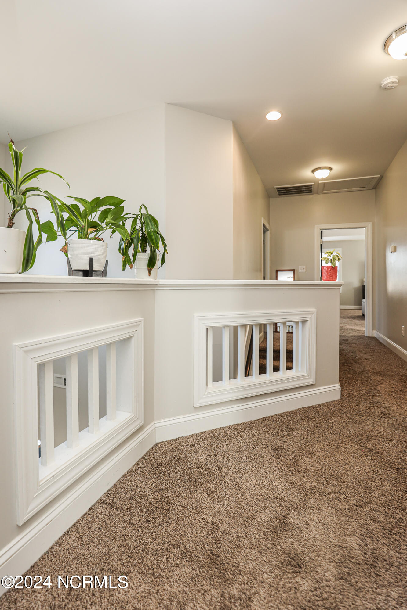 805 Oleander Street