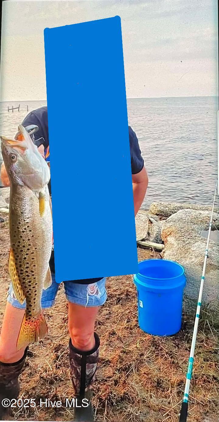 239 Pamlico Parkway