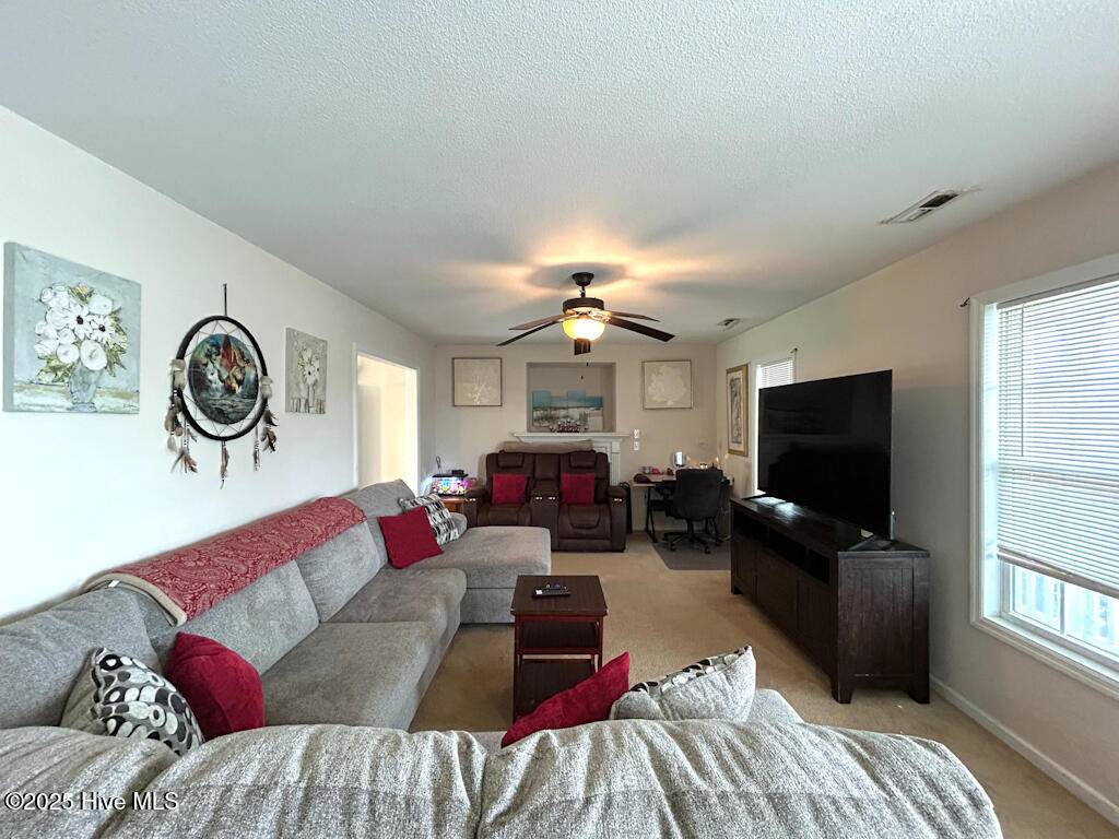 309 Springcreek Court