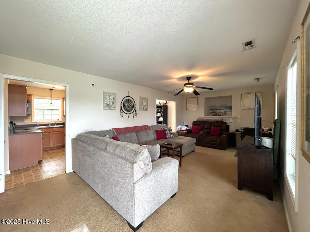 309 Springcreek Court