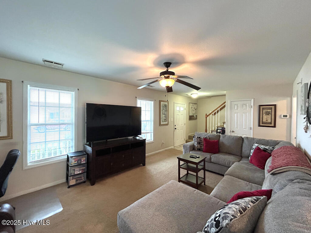 309 Springcreek Court