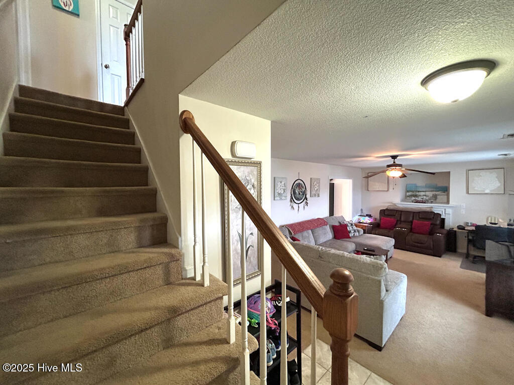 309 Springcreek Court