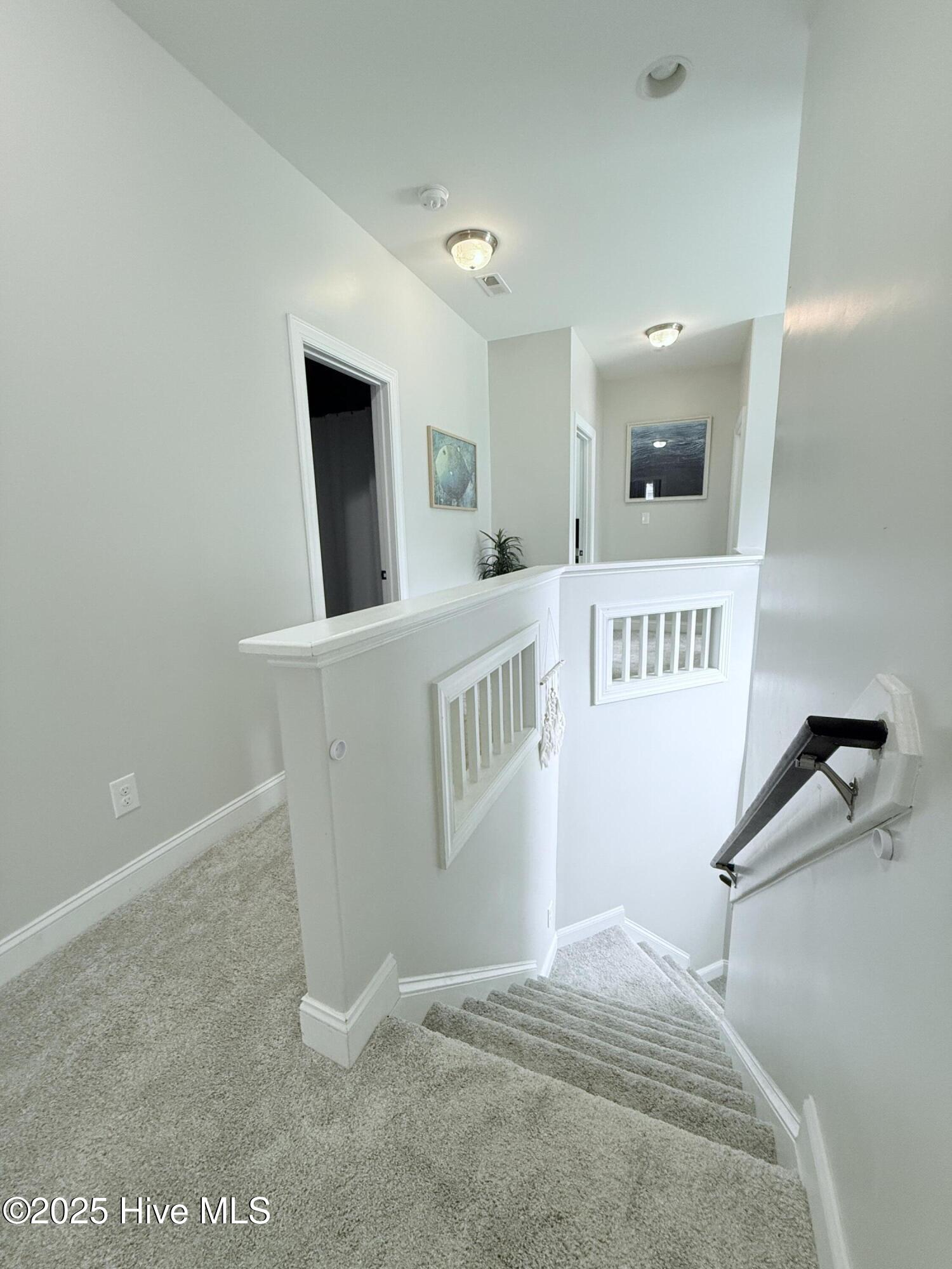 805 Oleander Street