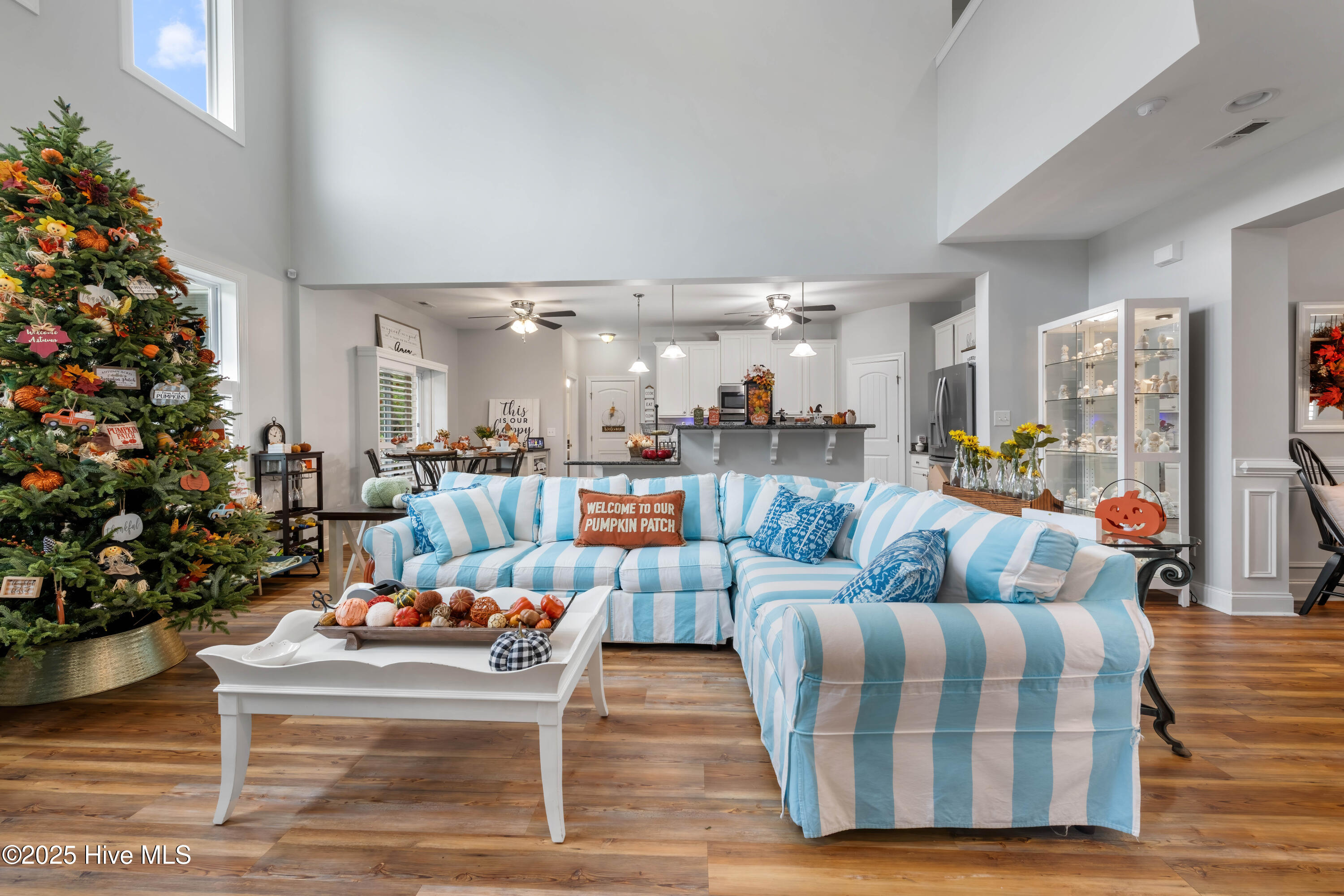 311 Catamaran Road