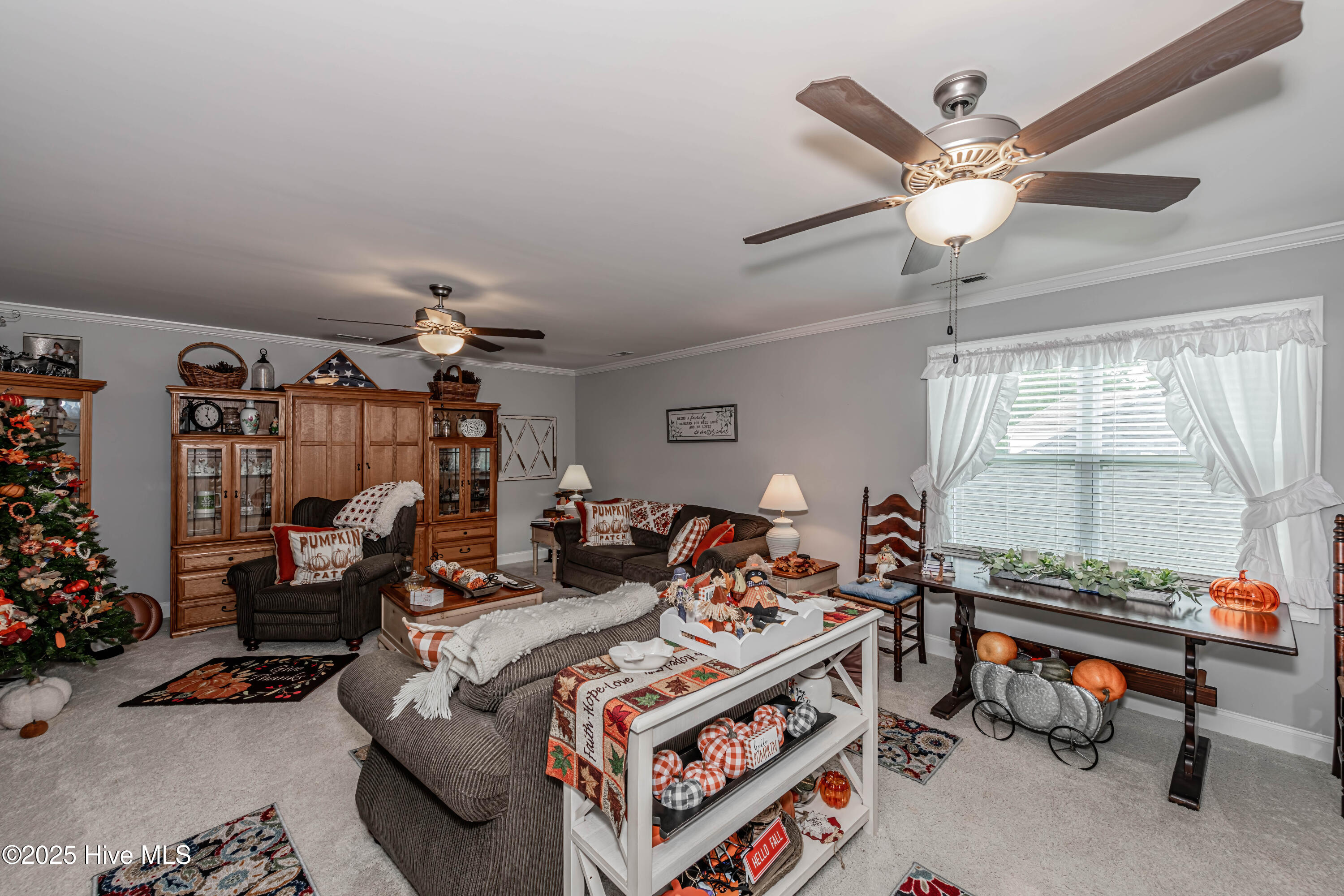 311 Catamaran Road