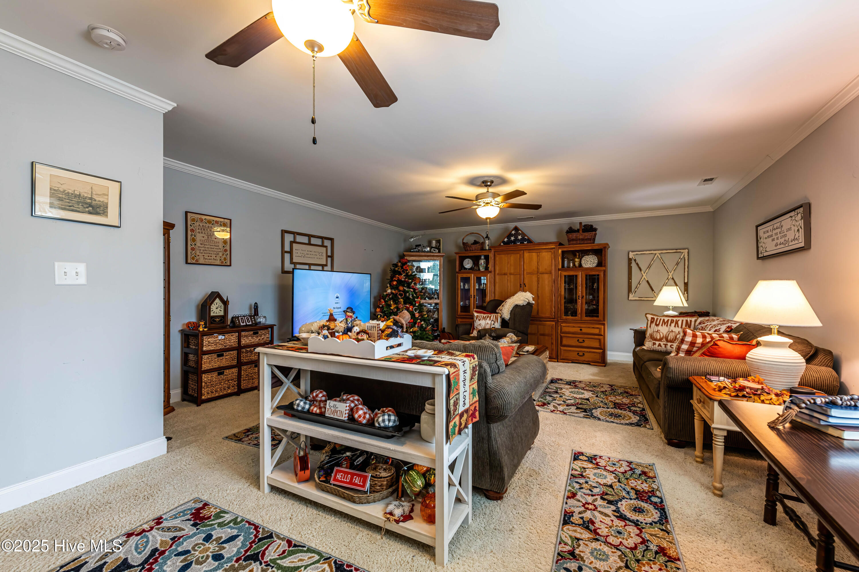 311 Catamaran Road