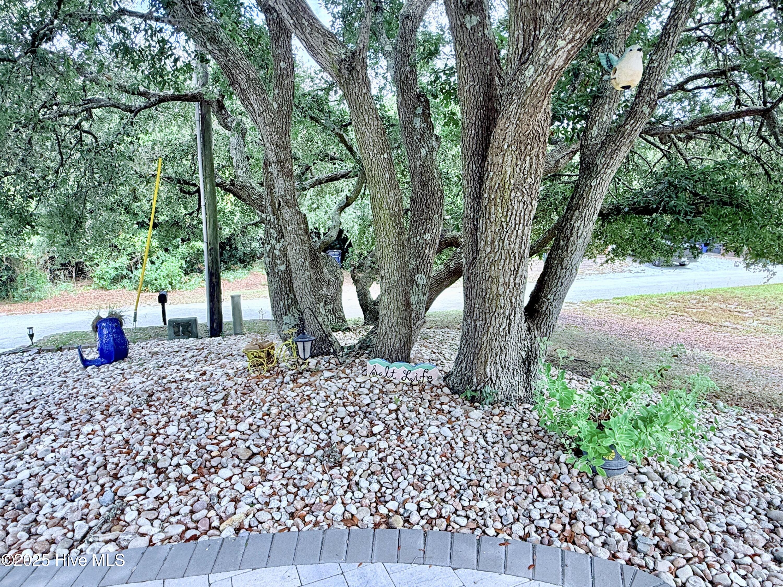 5405 Cedar Tree Lane