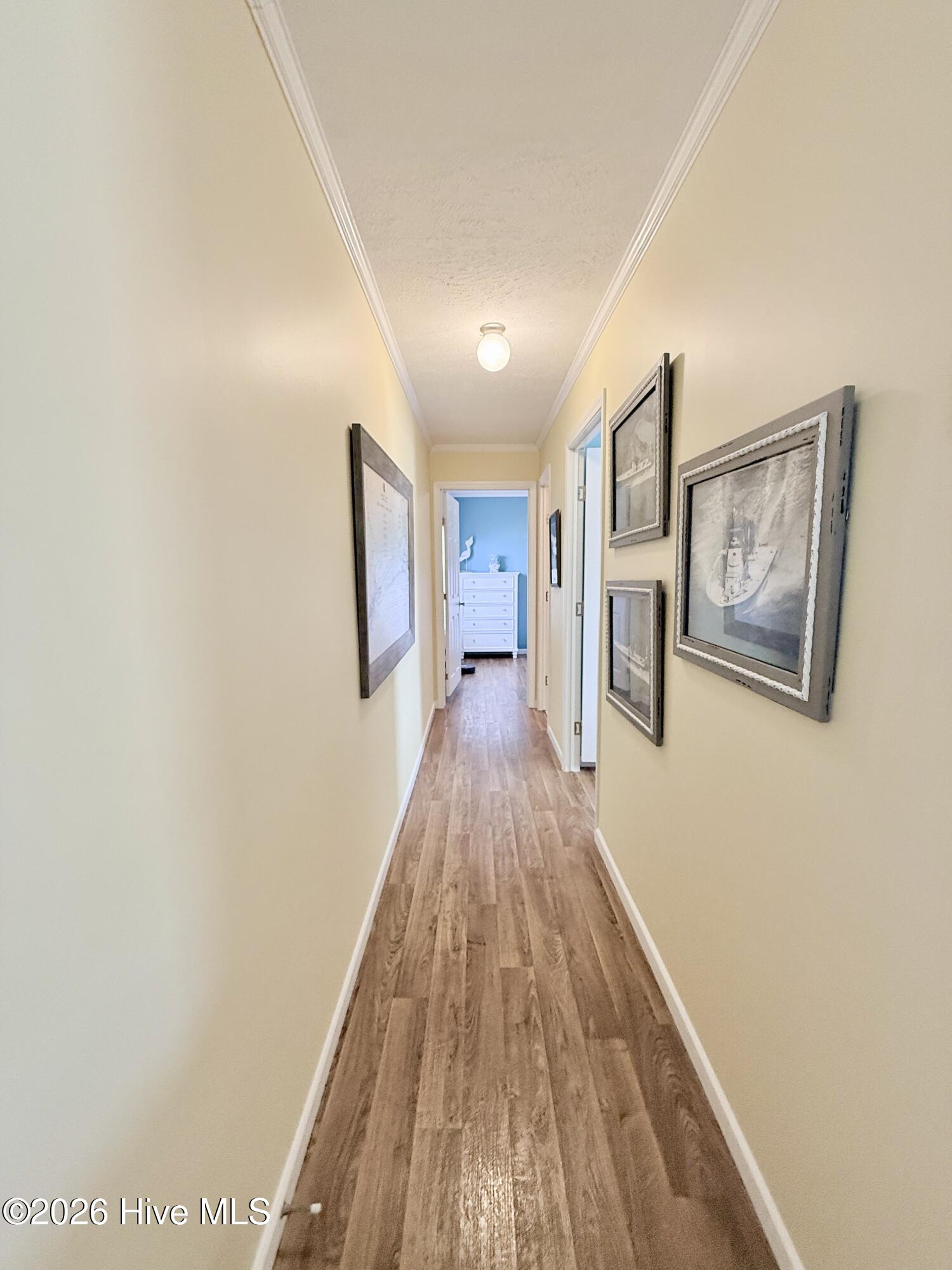 201 Live Oak Street