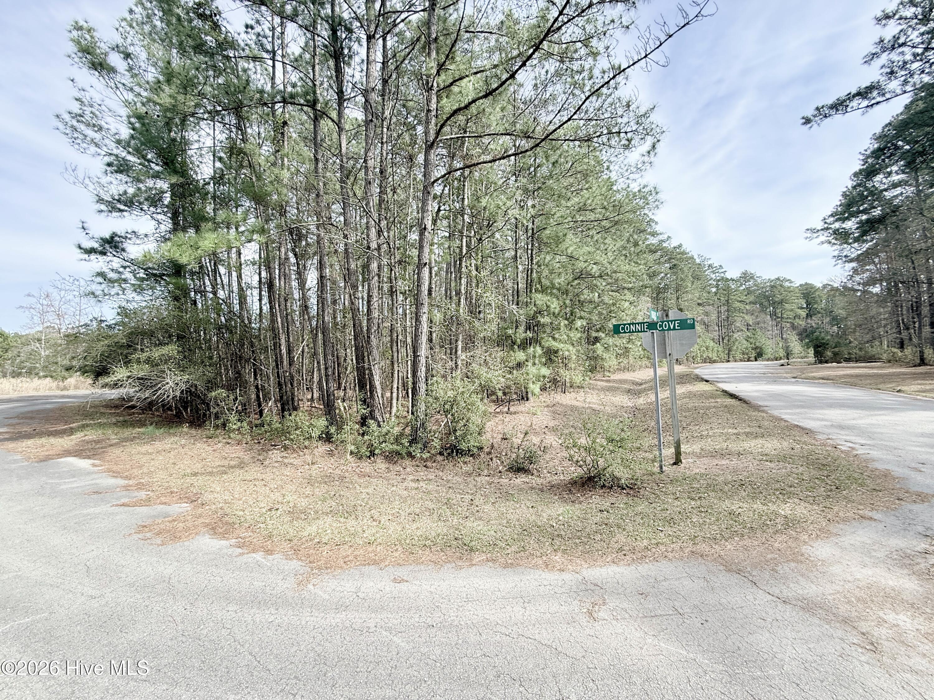 00 86 Doris Drive