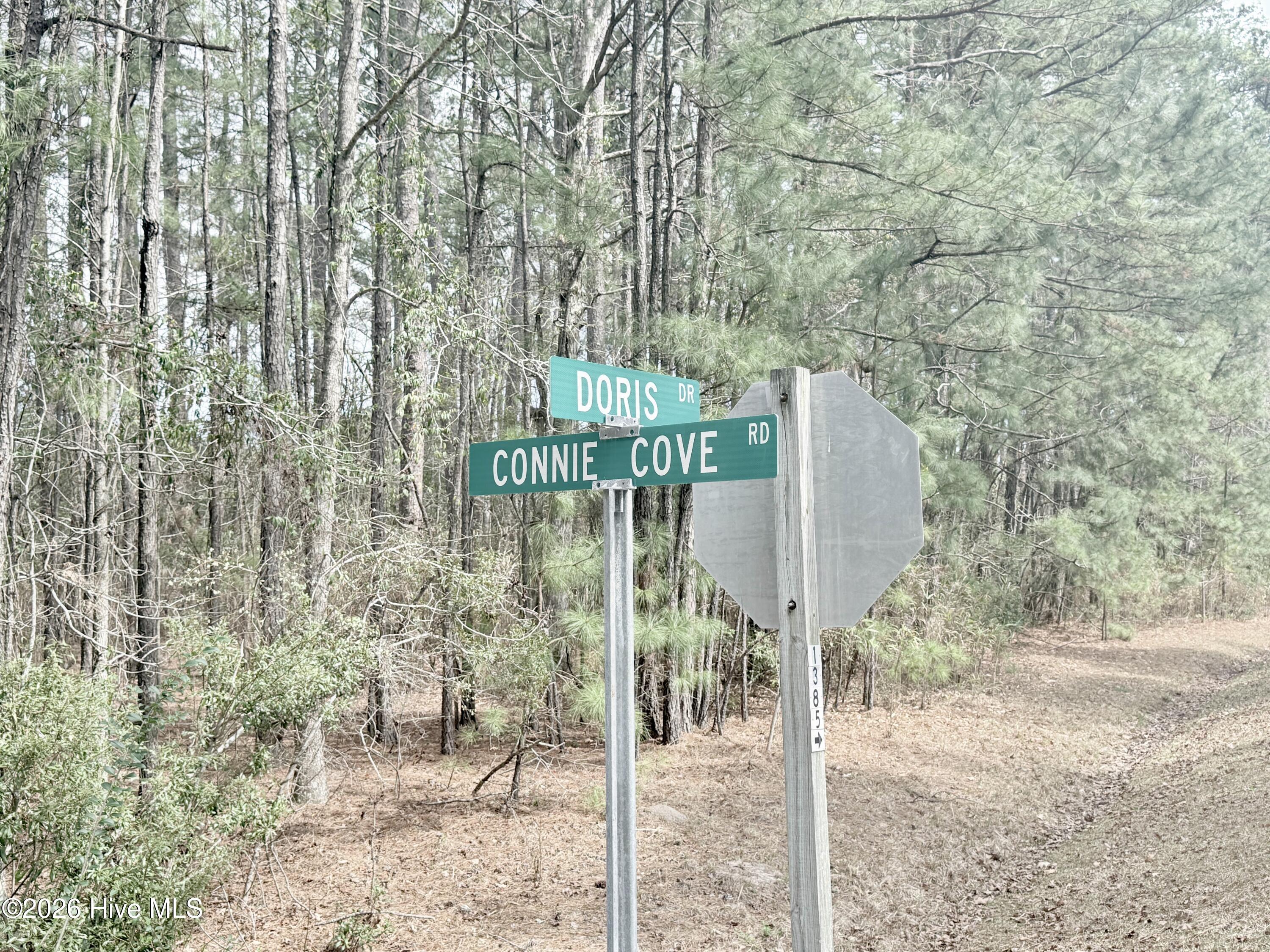 00 86 Doris Drive