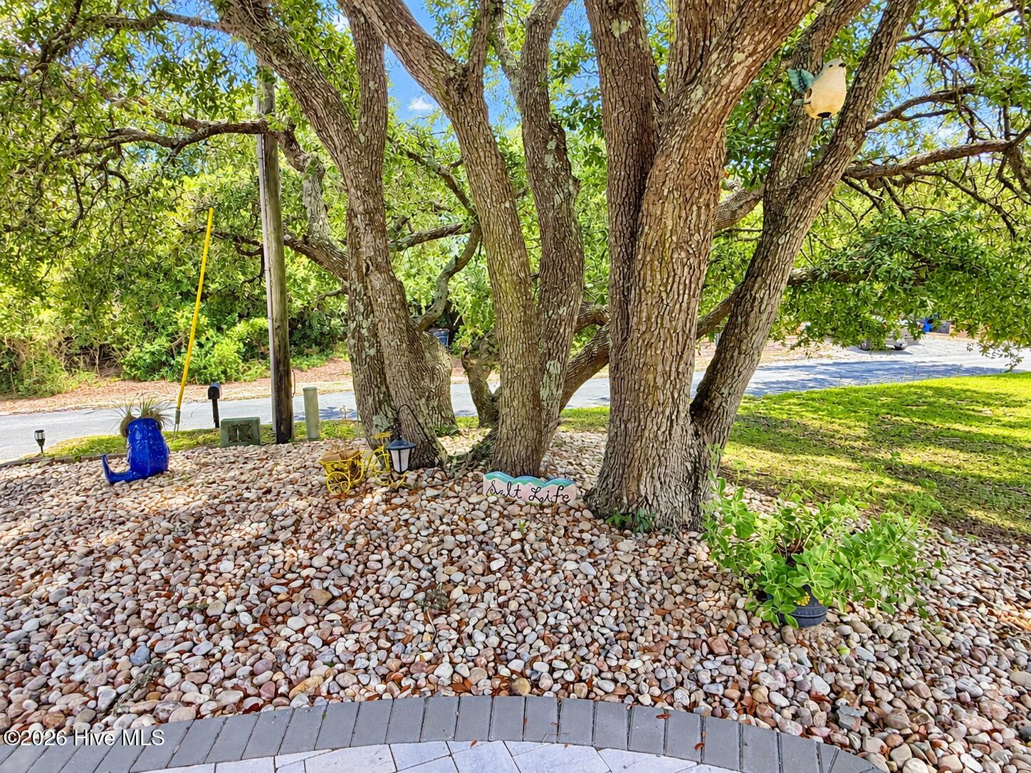 5405 Cedar Tree Lane