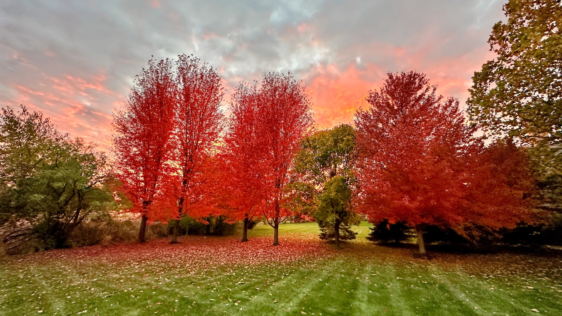 4952 TRILLIUM Trail