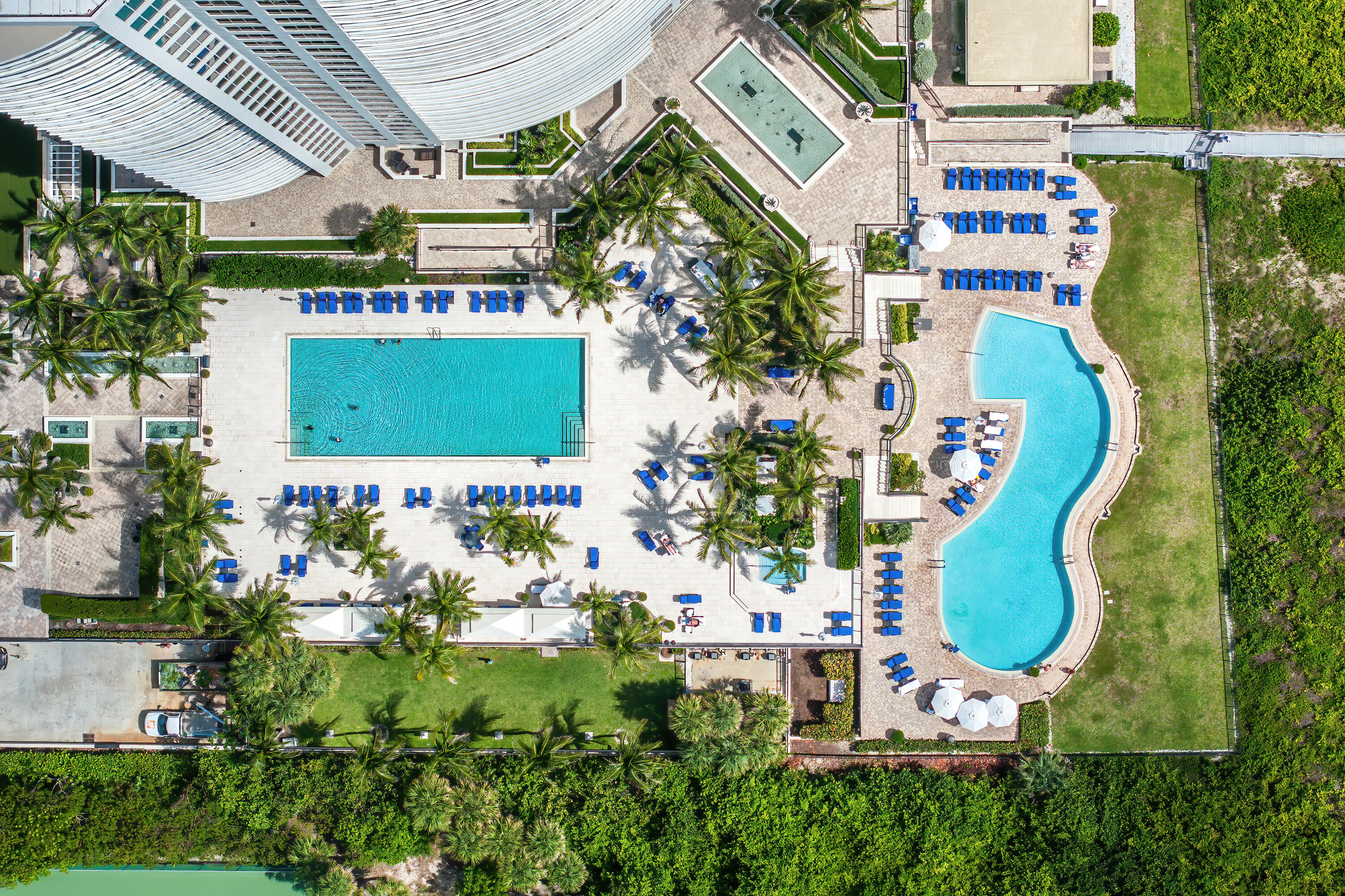 Aerial view of two condominium pools surrounded by palm trees and blue lounge chairs.