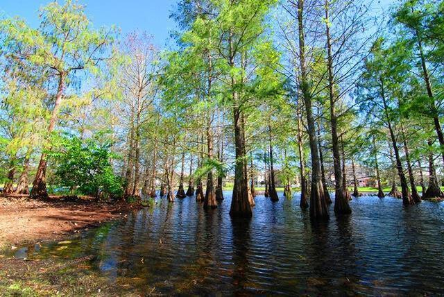 6316 Prestwick Court