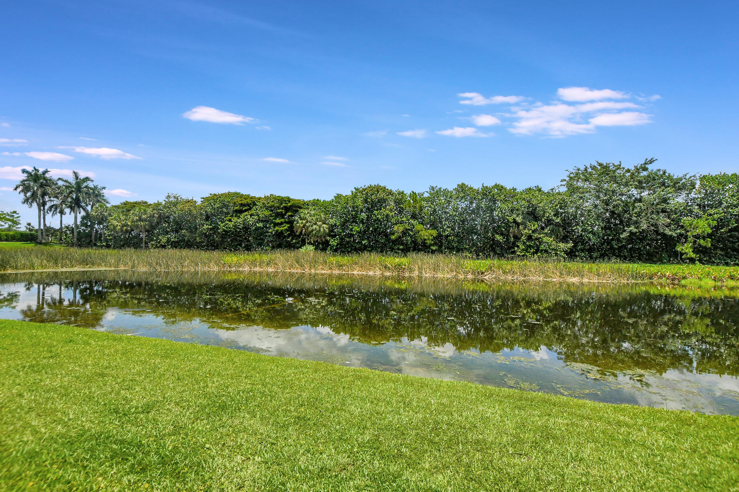 9859 Savona Winds Drive