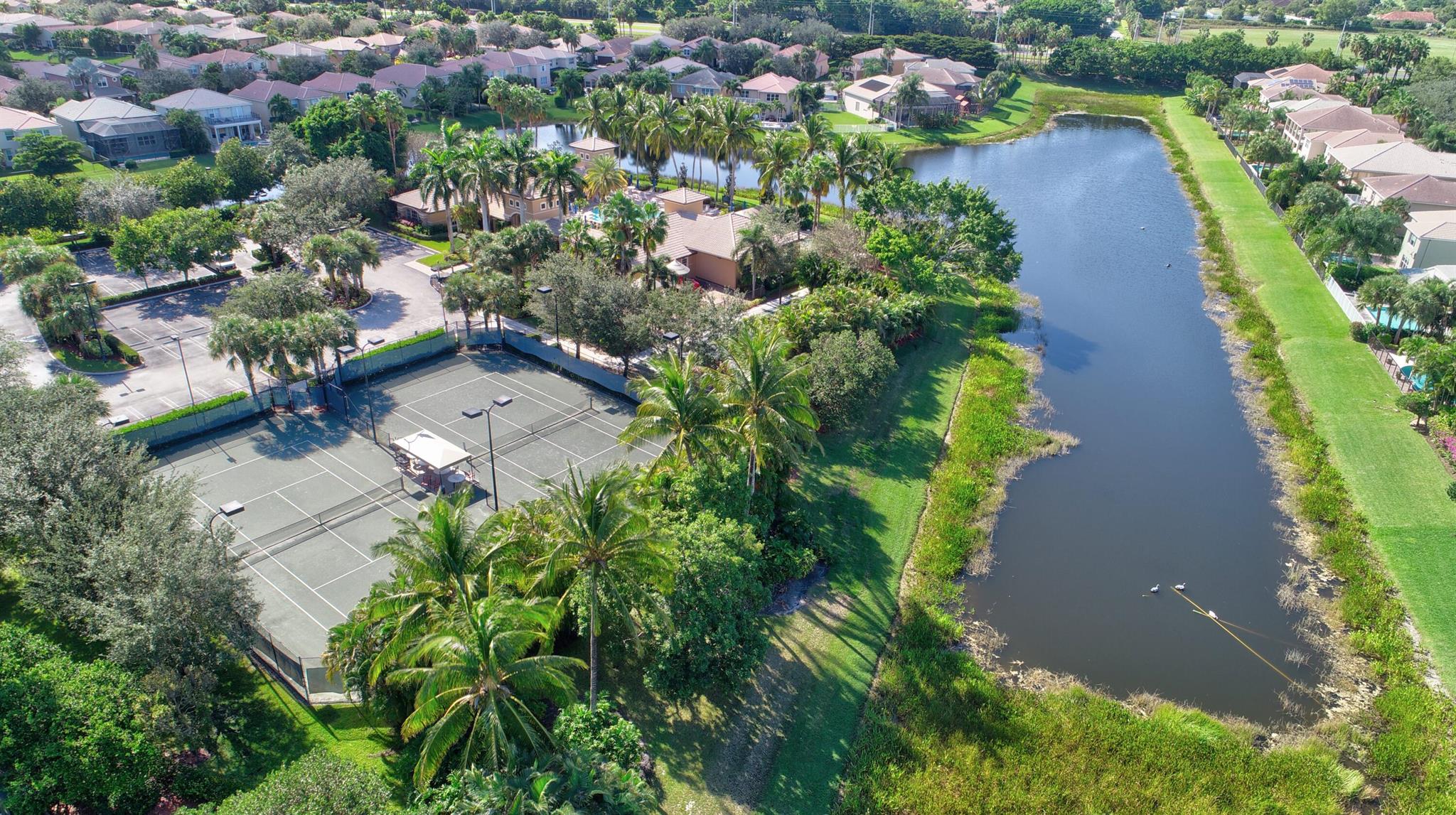 9859 Savona Winds Drive