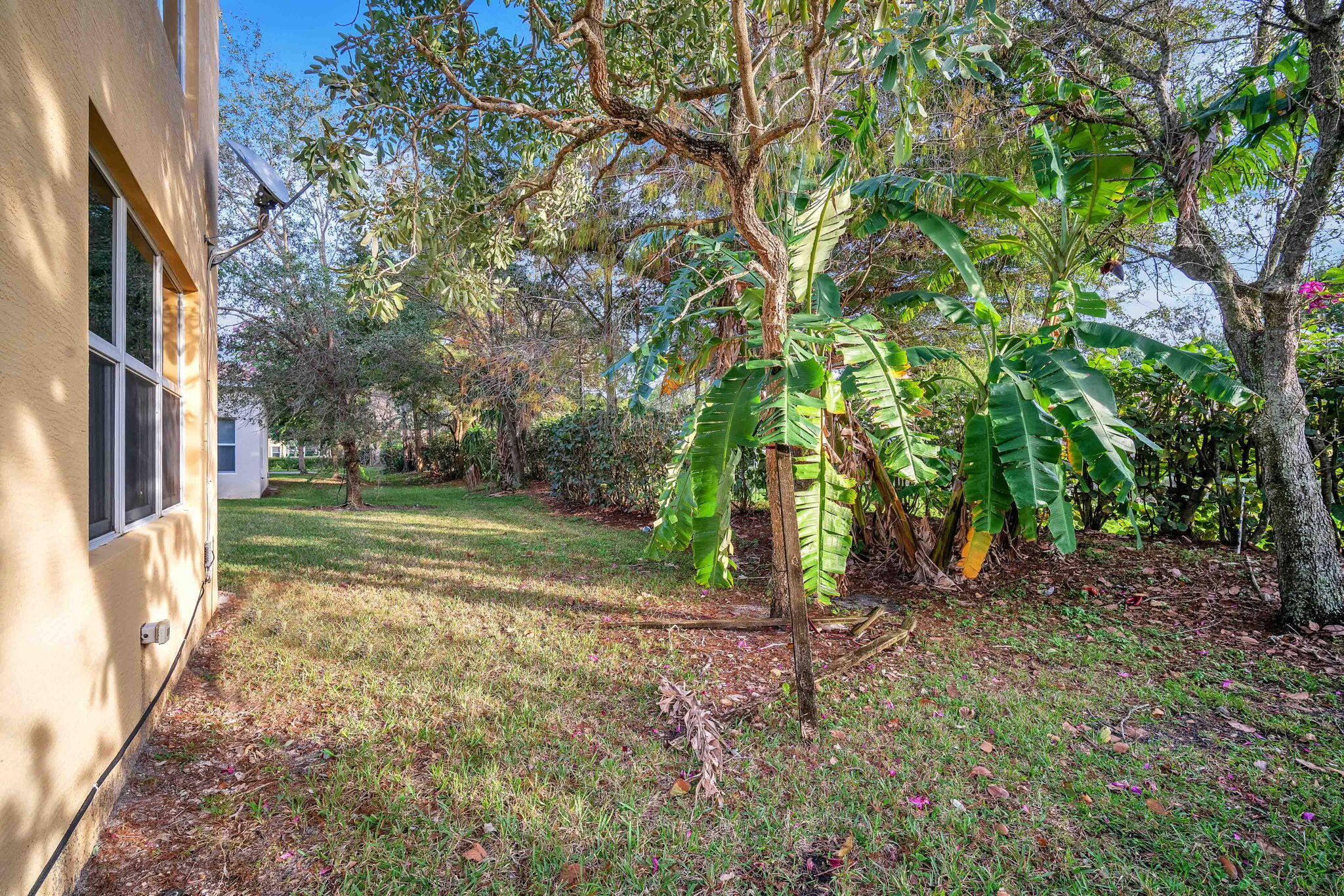 9664 Campi Drive