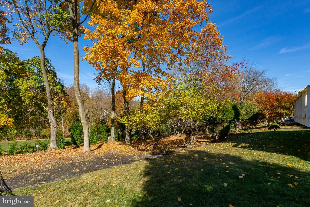 134 Chinaberry Dr