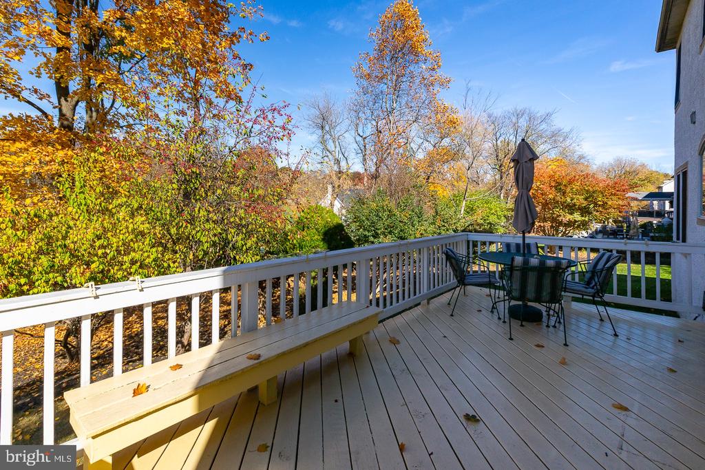 134 Chinaberry Dr