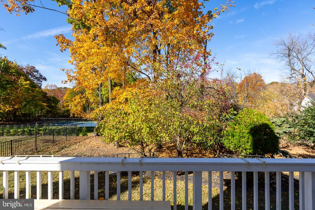 134 Chinaberry Dr
