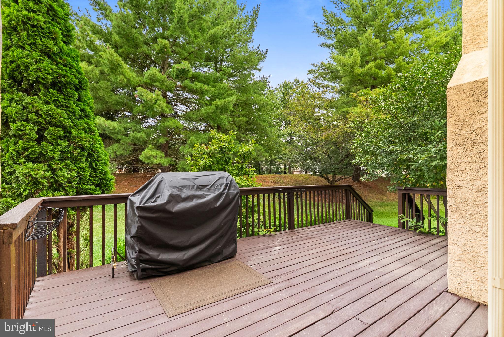 234 WINGED FOOT DRIVE