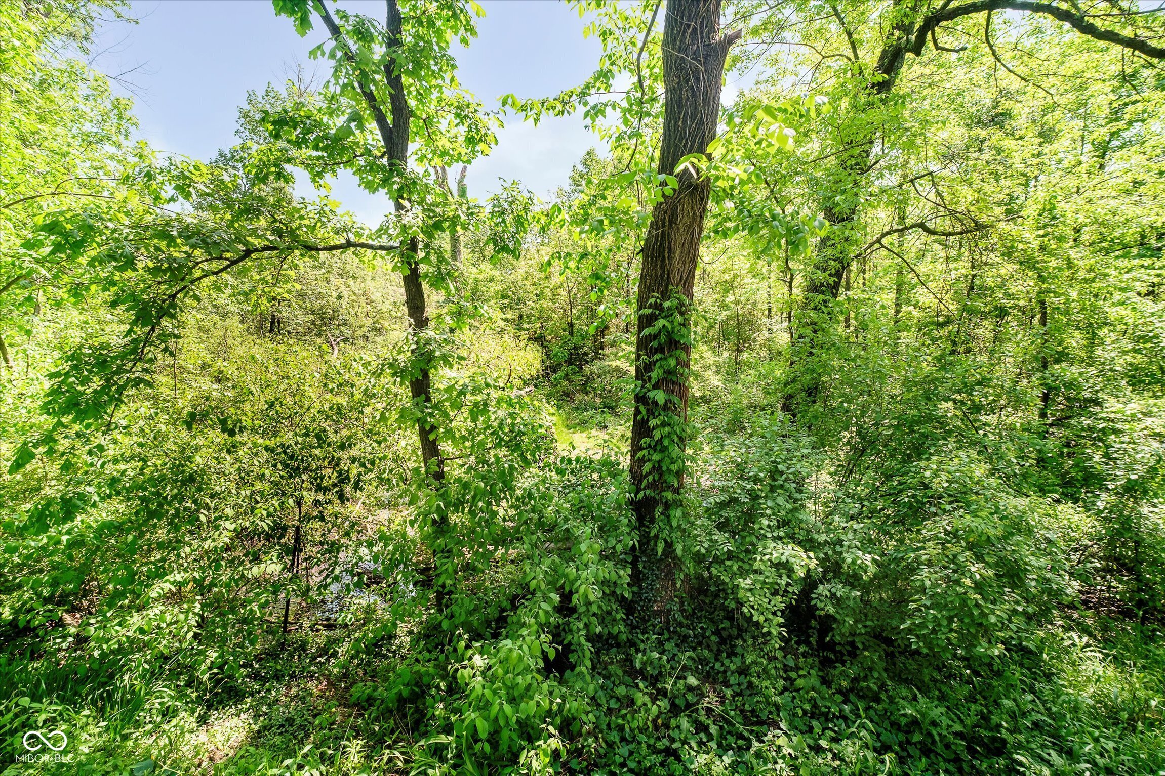 13559 Kensington Place