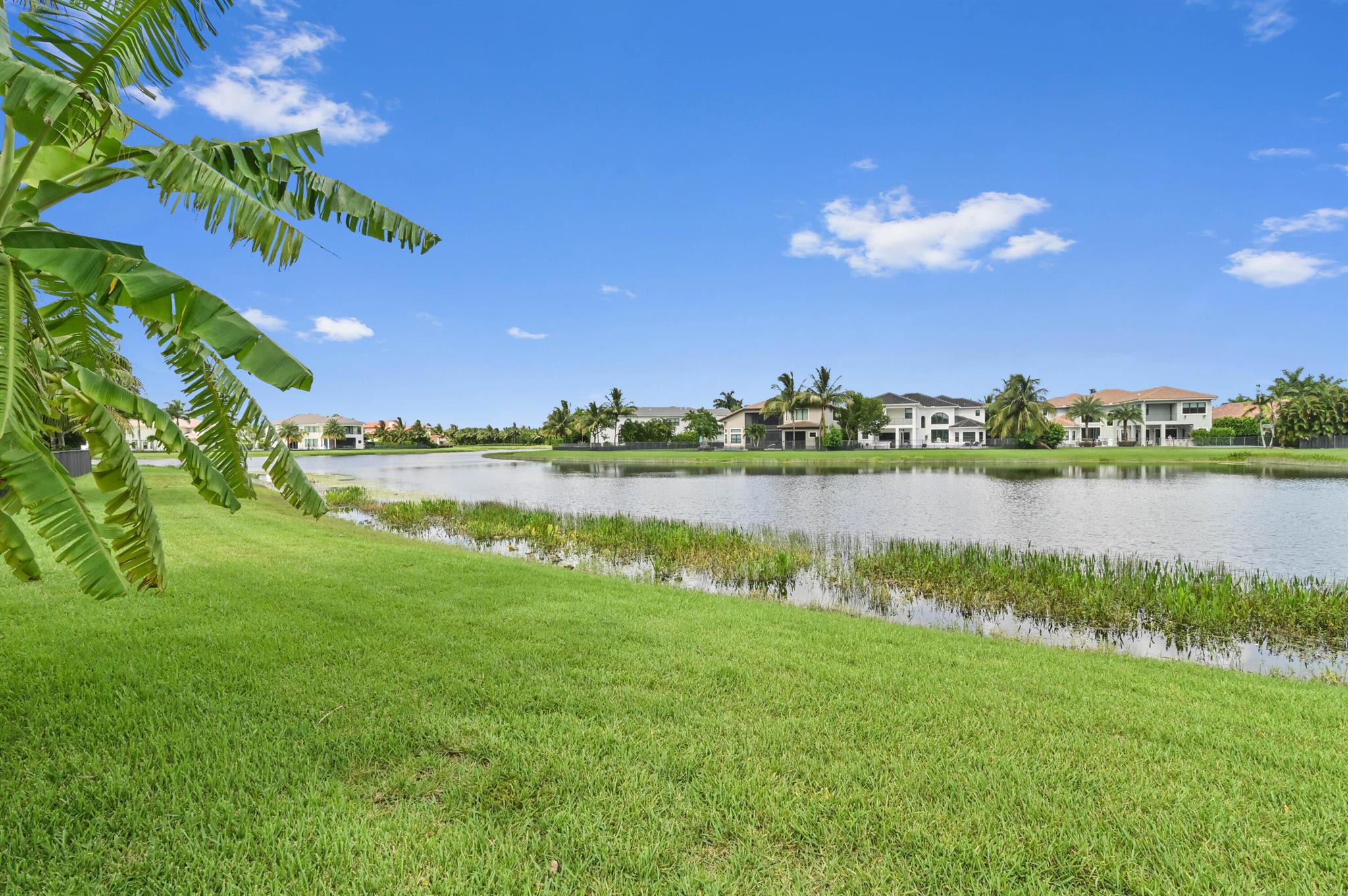 16732 Strasbourg Lane