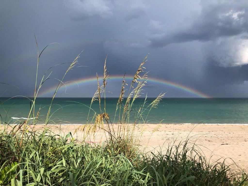 1203 Hillsboro Mile 5b